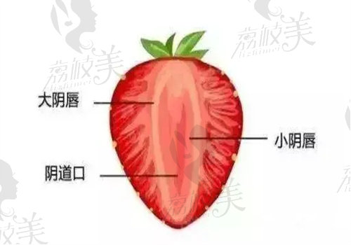 韩国千芊妍妇科医院怎么样