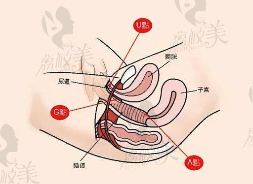 韩国好手艺到底怎么样