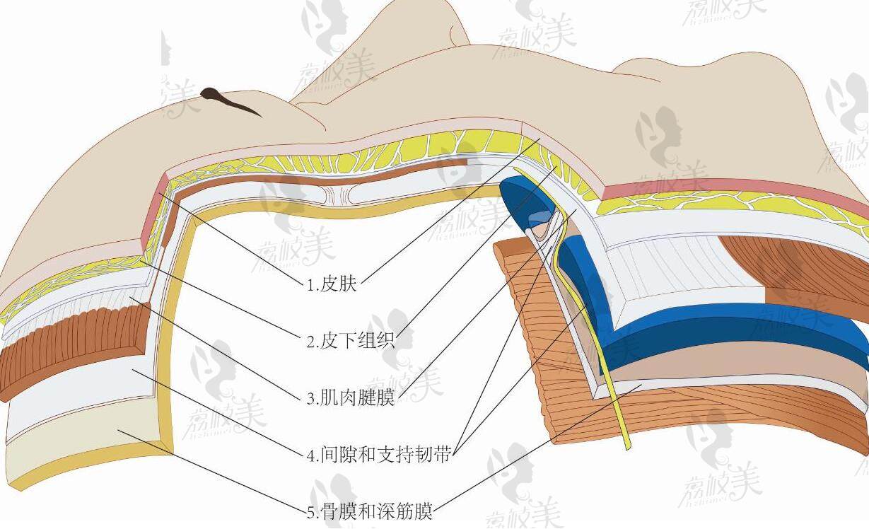 楊大平面部提升費用是多少錢