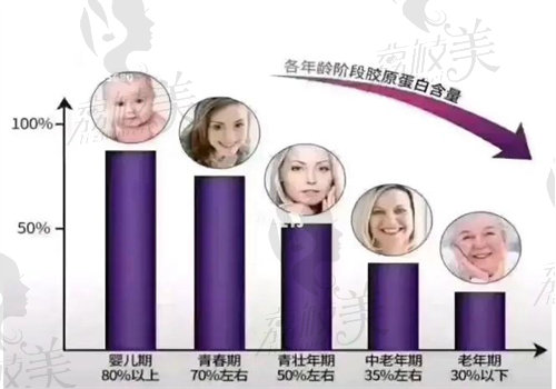 17型胶原蛋白和1型胶原蛋白的区别