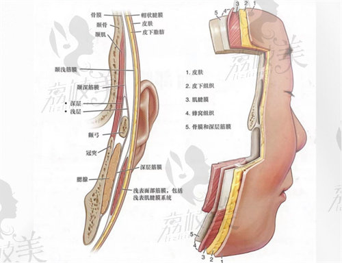 袁強(qiáng)smas筋膜拉皮手術(shù)怎么樣