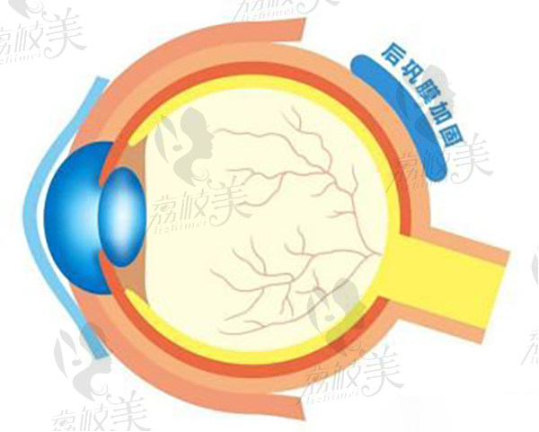 王樂今醫(yī)生口碑評價和反饋