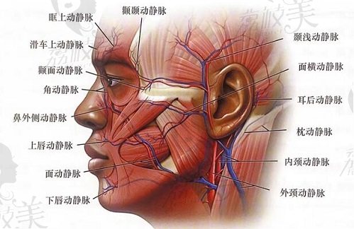 北京加减美v美减龄术可以维持多长时间？