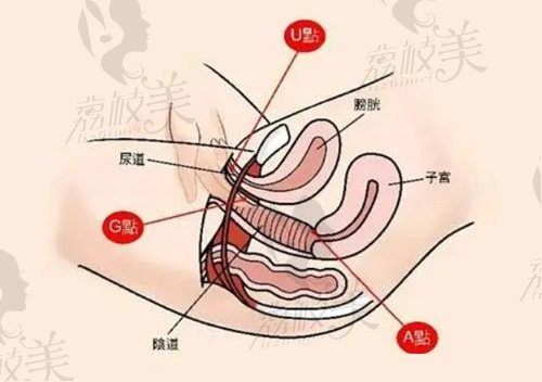 北京嘉禾李燕医生私密整形技术好不好？