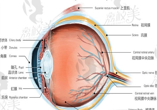 于剛眼科醫(yī)生掛號(hào)