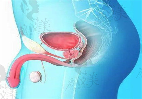 国内男科做延长增粗的医院和医生