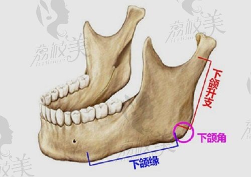 张笑天下颌角手术技术怎么样？