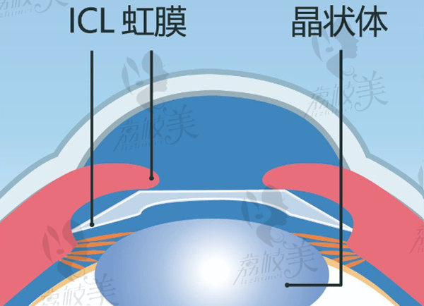 屏幕截图 2024-05-27 181610.jpg