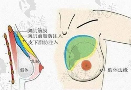 武汉艺星徐国建医生个人资料