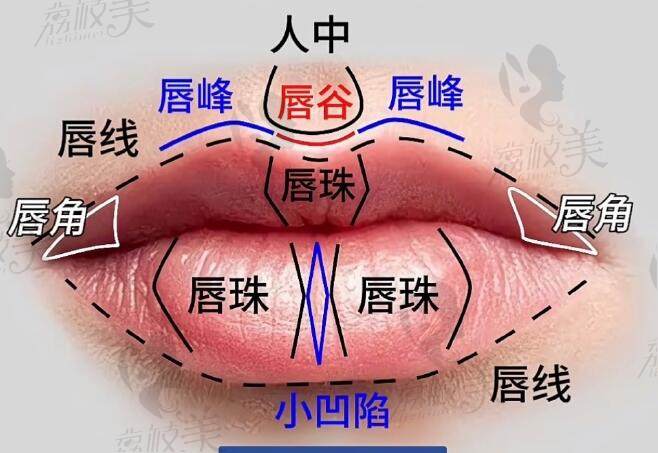 潘柏林医生口碑怎么样