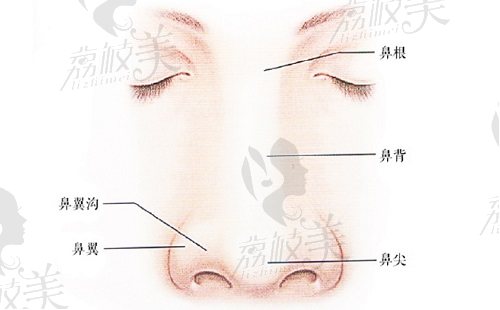 李信鋒做鼻子怎么樣？