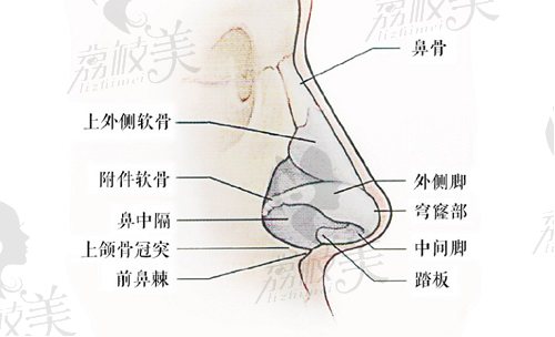 李信鋒做鼻子怎么樣？