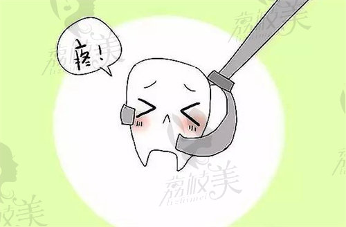 長(zhǎng)春拔智齒多少錢一顆