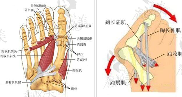 沈阳马文足科价格2025怎么那么贵