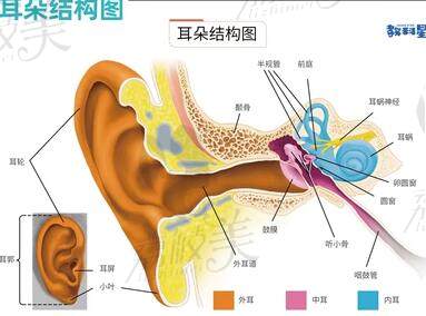 康春雨醫(yī)生的坐診時(shí)間和地點(diǎn)