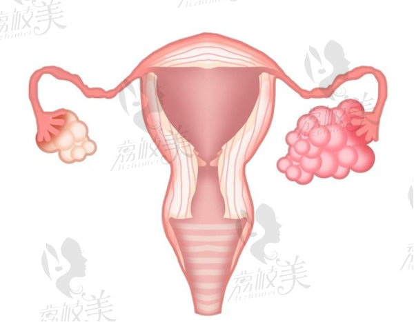 蘇州私密整形醫(yī)院排行