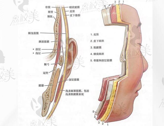 柳民熙拉皮手術(shù)方式究竟如何？除皺效果真的好嗎一文即可解答