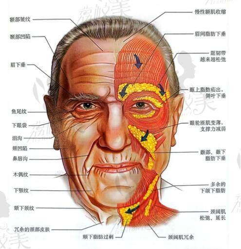 我称赞柳民熙做的线 雕技术好