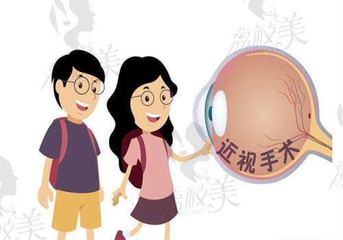 叶子隆个人资料