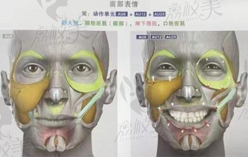 馒化脸是怎么形成的？