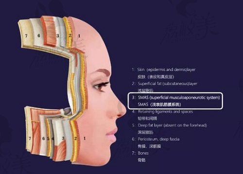 如何选择适合自己的馒化脸修复方案？