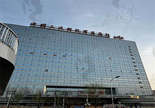 北京解 放军301医院整形科医生团队