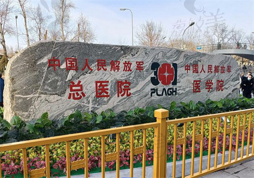 北京解 放军301医院整形科技术特点