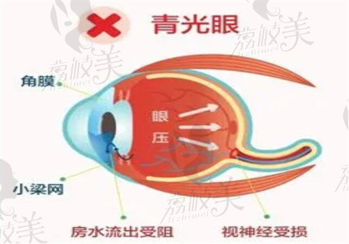 周清医生简介