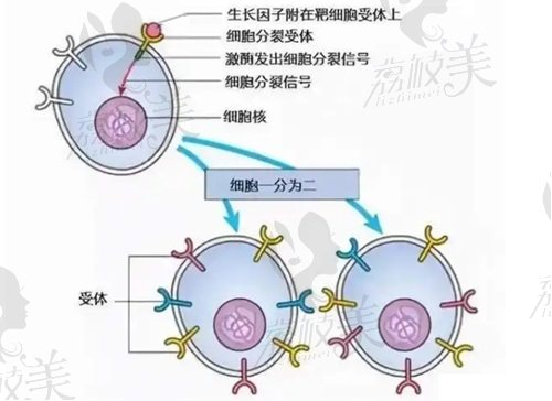 齊云香在荔灣<span style=