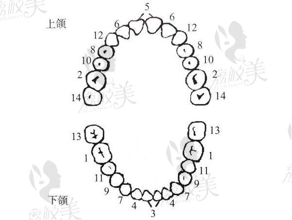 西安交 大口腔收费价目表