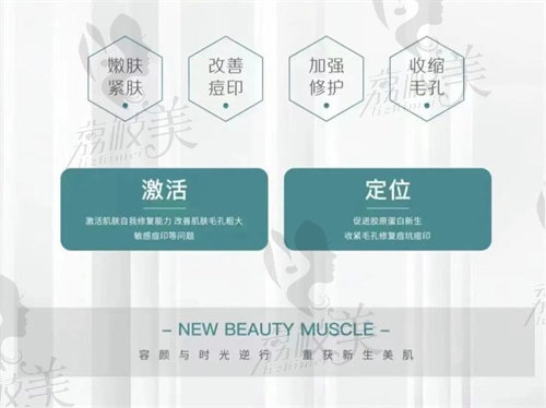 半岛逆时针和黄金微针的区别