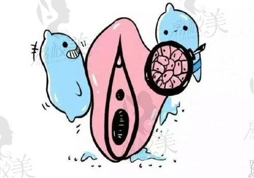 乌鲁木齐紫星医疗美容医院简介