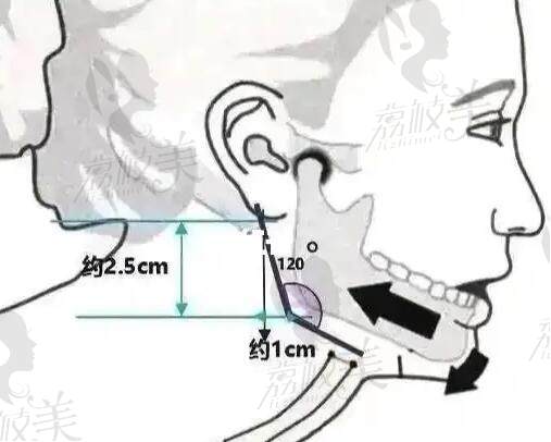 輪廓整形項目價格2025一覽表