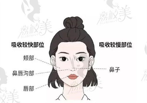 QQ截图20240321153920.jpg