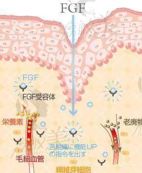 面部异物取出哪个医生好