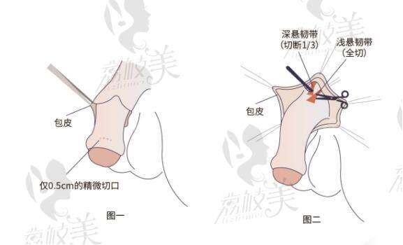 九龙医院男性价格收费一览表