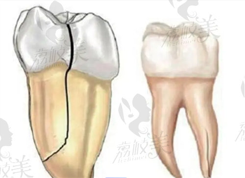 沈阳康贝佳口腔慕林林医生简介