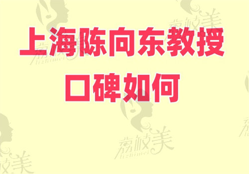 上海陈向东医生口碑如何