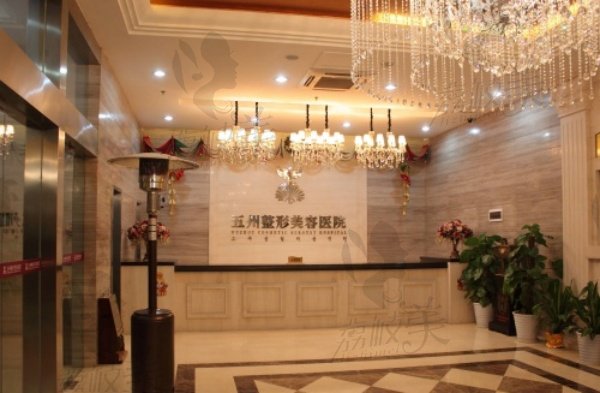 武汉弗缦胶原蛋白多少钱一支