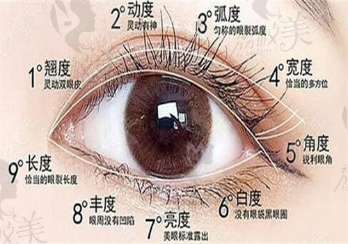 高海鹰个人资料简介