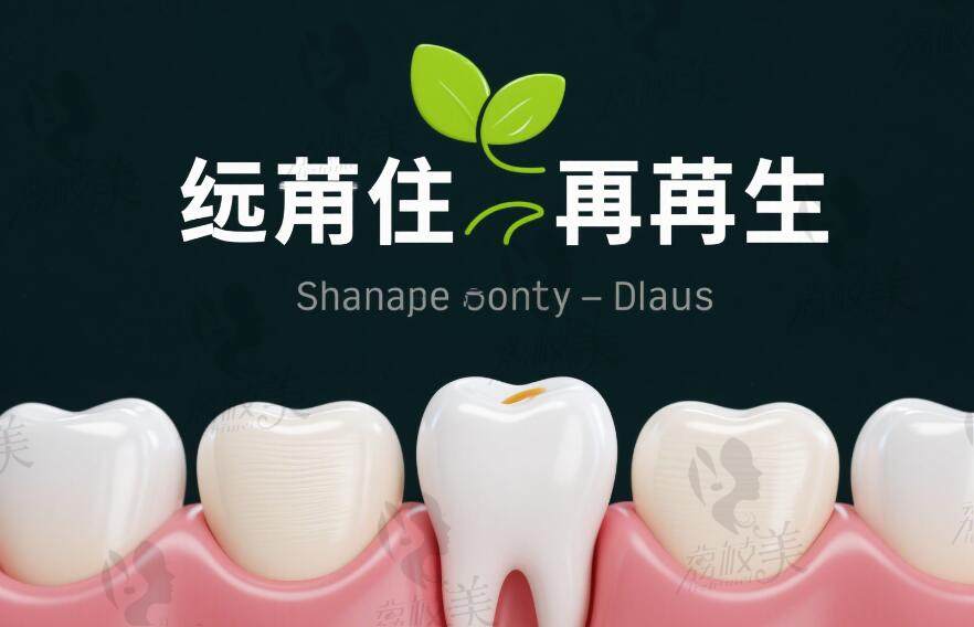 再生牙技术多少钱一颗