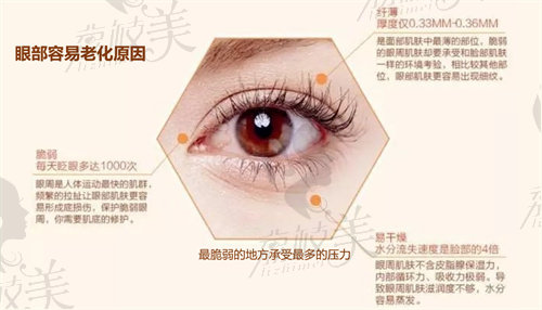上海海華安洪賓做眼周年輕化