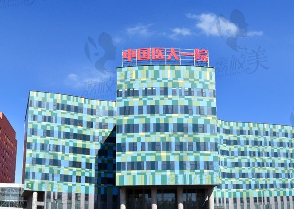 2025沈阳医 大一院整形科价格
