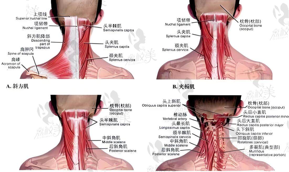 國內(nèi)哪家醫(yī)院富貴包做的好