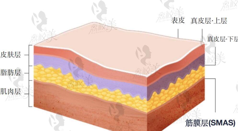 上海整形美容醫(yī)院排行榜前十名