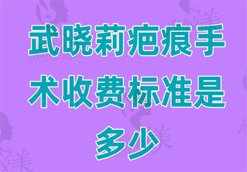 武晓莉疤痕手术收费标准是多少
