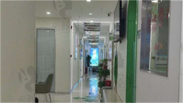 威兰德全瓷牙冠可以用多久