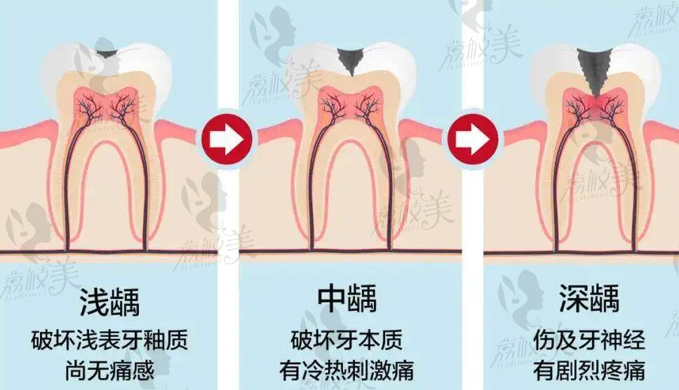 苏州园区牙博士口腔地址电话