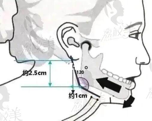 韩国全脸整容价格明细表