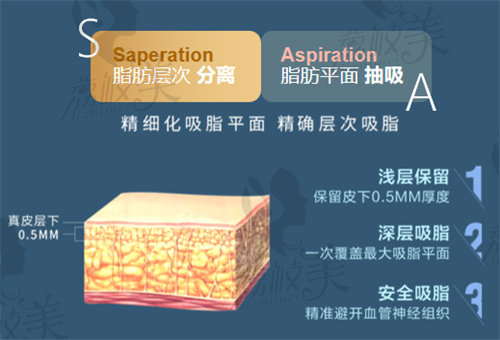 维密脂雕和黄金微雕有什么不一样